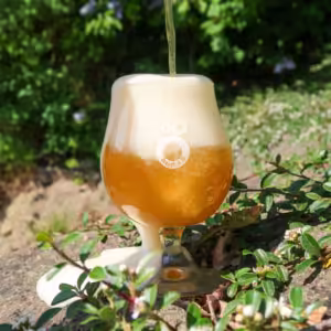 Ölglas